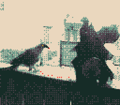 The Crow