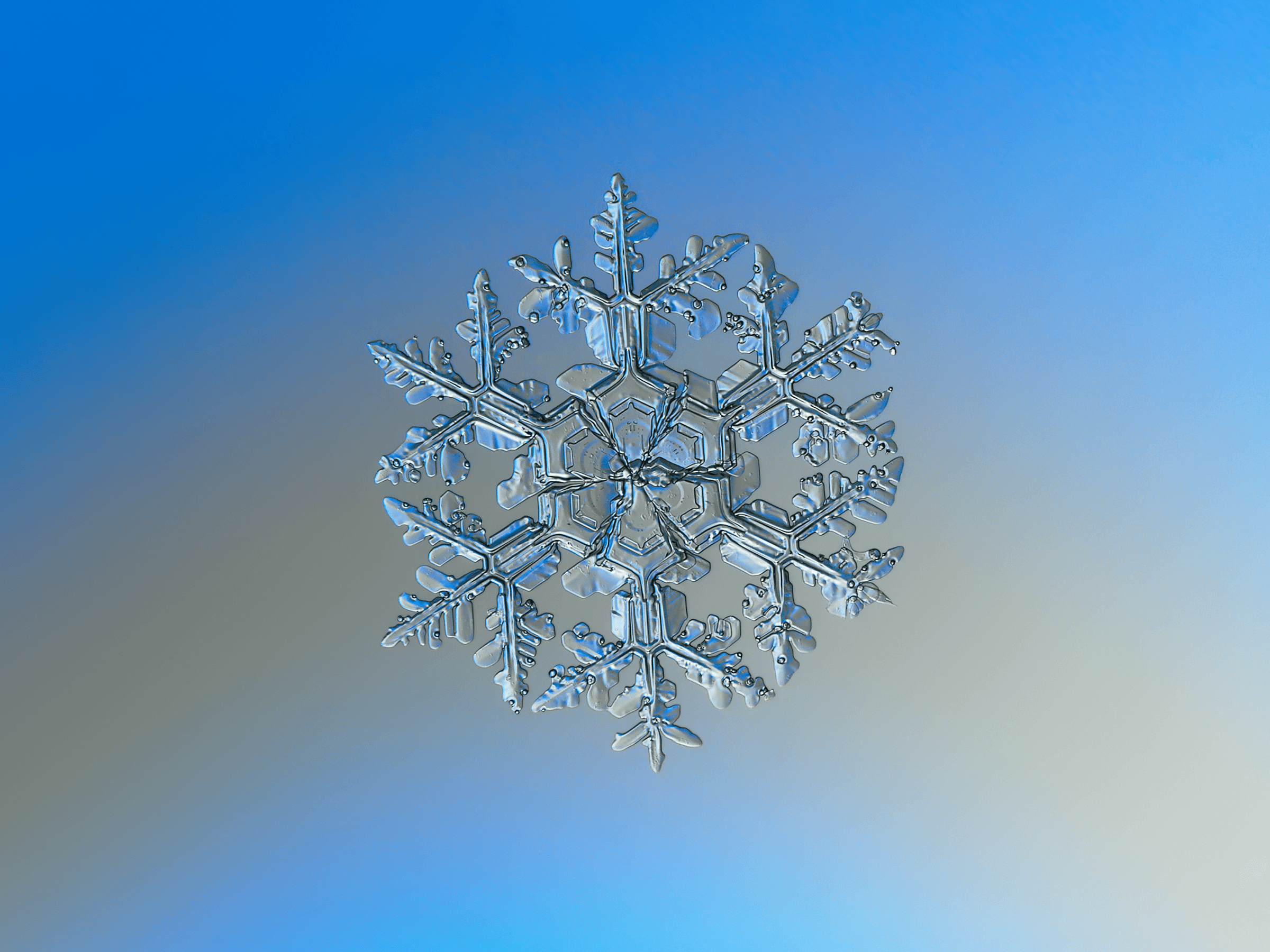 Snowflake 2014-12-26_0125-35 Gardener's dream