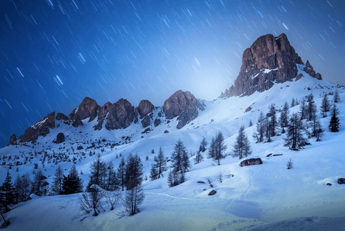 The Creatures of the Night #05 Stars Shower