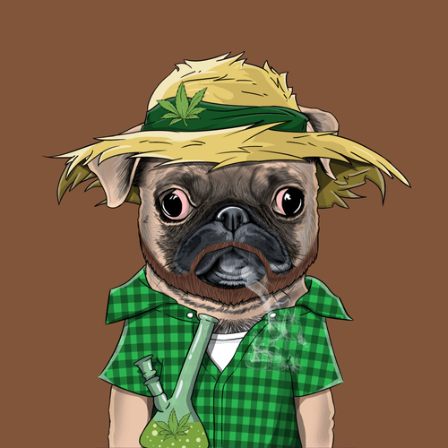 Pug #0186