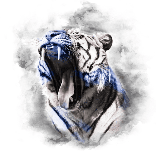 BLUE SERIES - TIGER