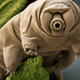tardigradoo