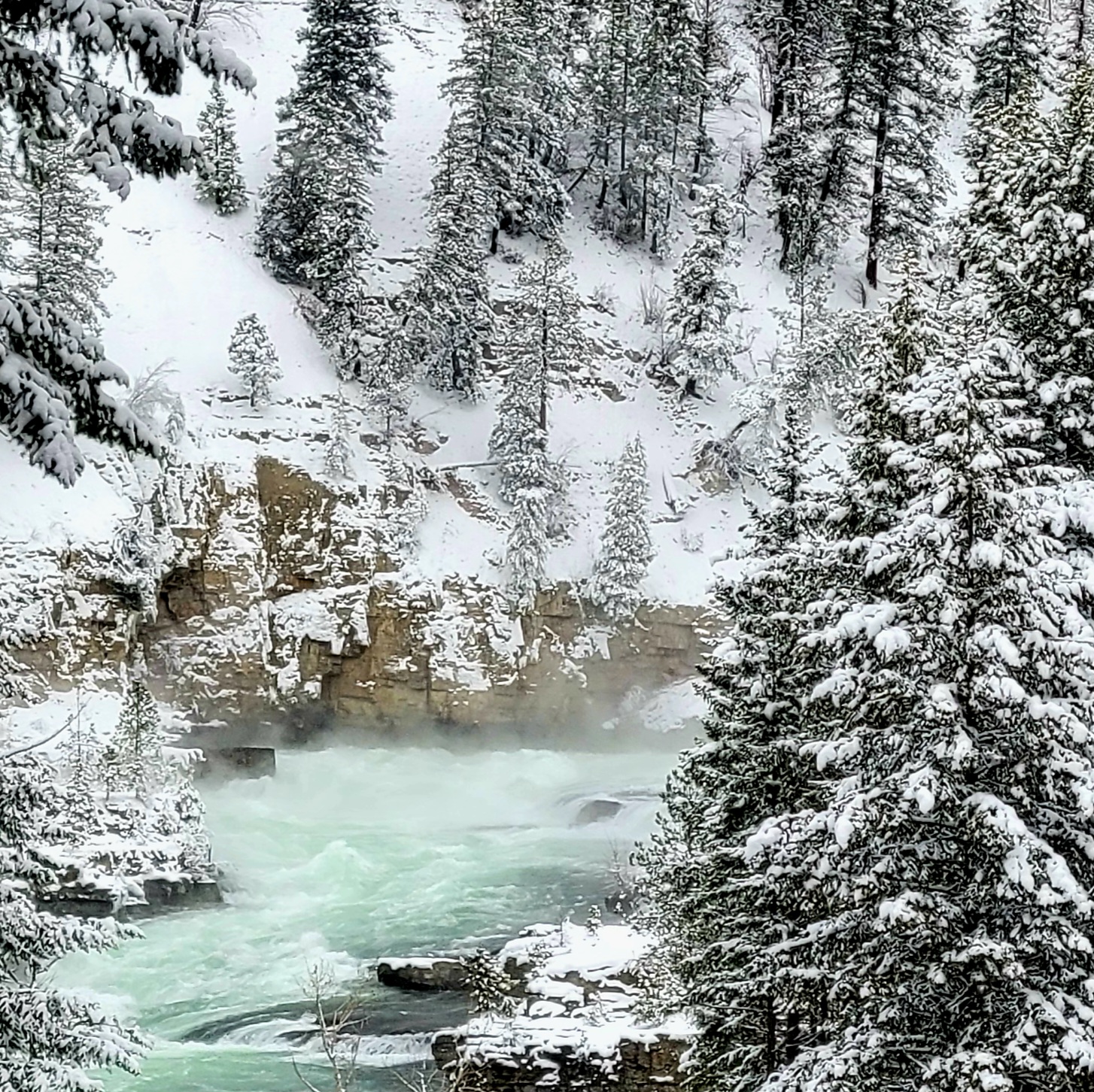 Winters Bliss