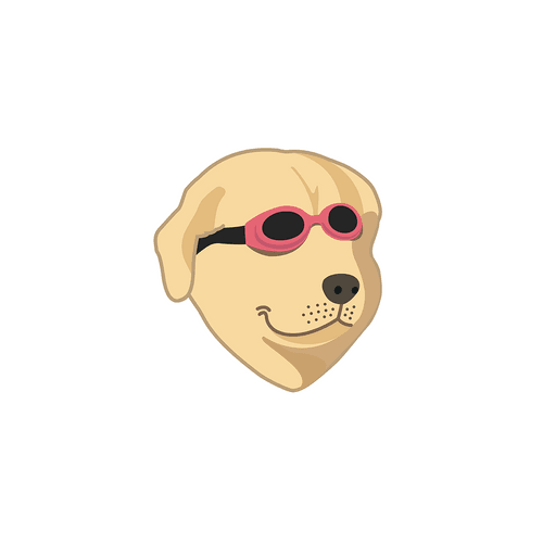 Pool Dog