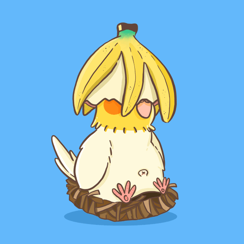 #1 Born to be a squid~