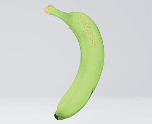 Unripe Green Banana