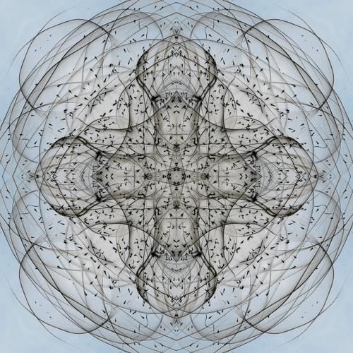 Intrecci - 192E08305 - 4