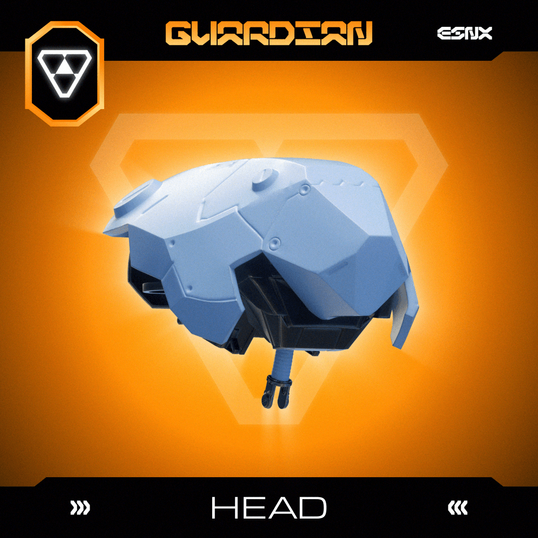 GUARDIAN TORT Head