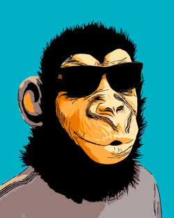 Monkey Stocks Social Art collection image