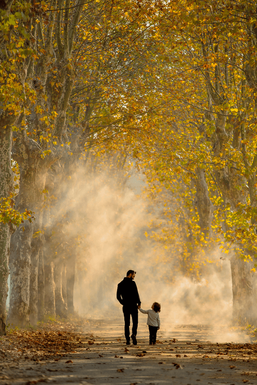 Life path