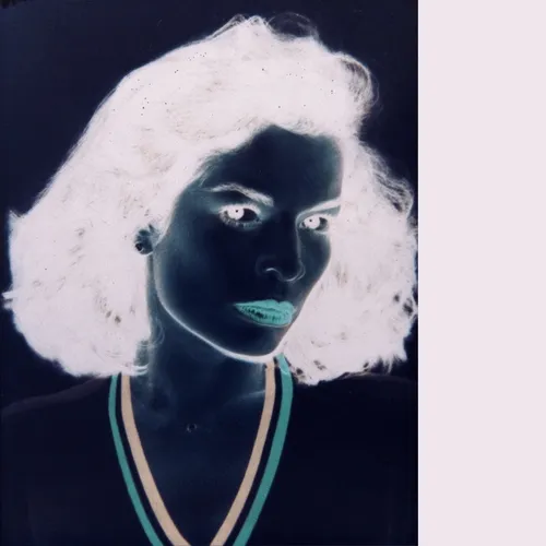 Warhol Negatives