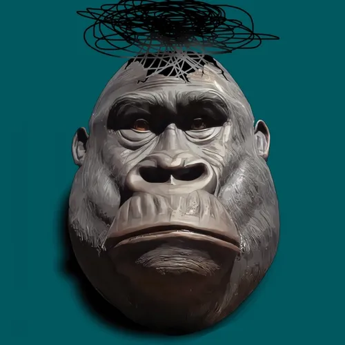 KongKool