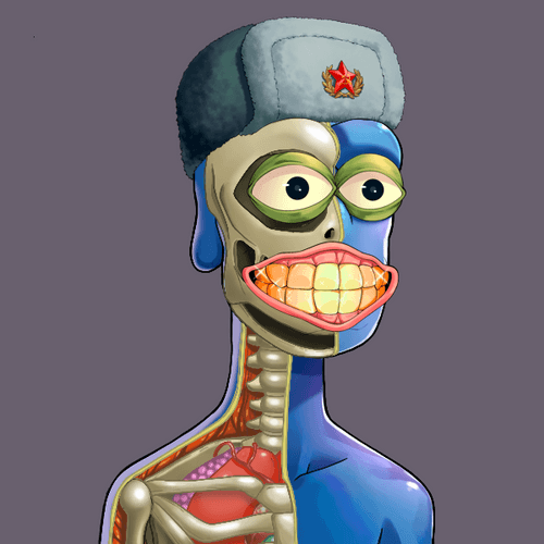 Anatomy Rare Apepe YC #339
