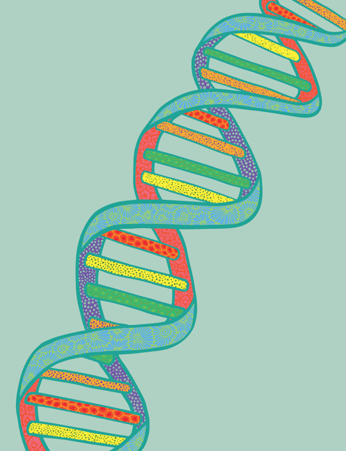 DNA #66