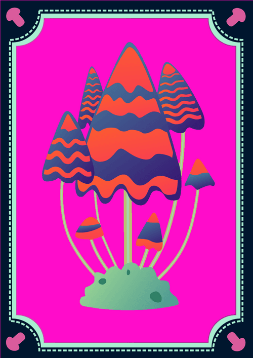 Card1c