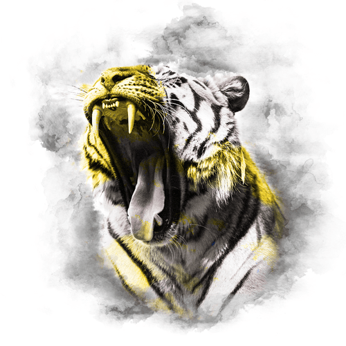 YELLOW SERIES - TIGER