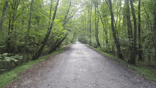 The Path Of Hope