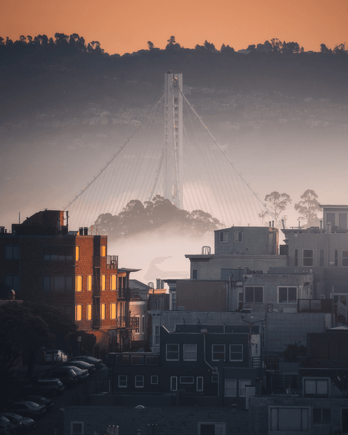 Bay Beginnings #29 // Emerging Fog