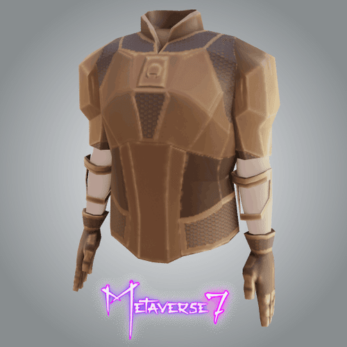 Metaverse 7 - Wearable