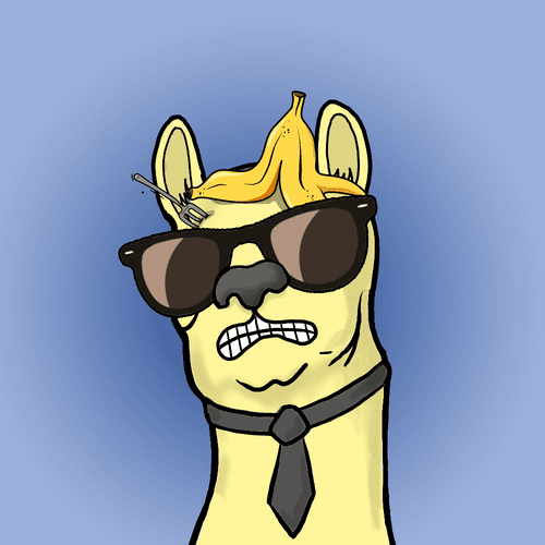 No Llama!