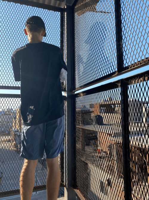 Vitalik's Villa 31 Tour