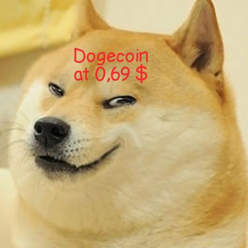 Dogecoin hitting 0,69 USD collection image