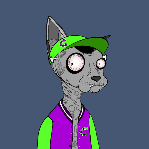 Specific Cat #178