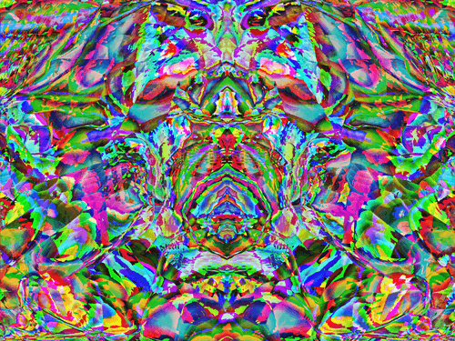 Recluse