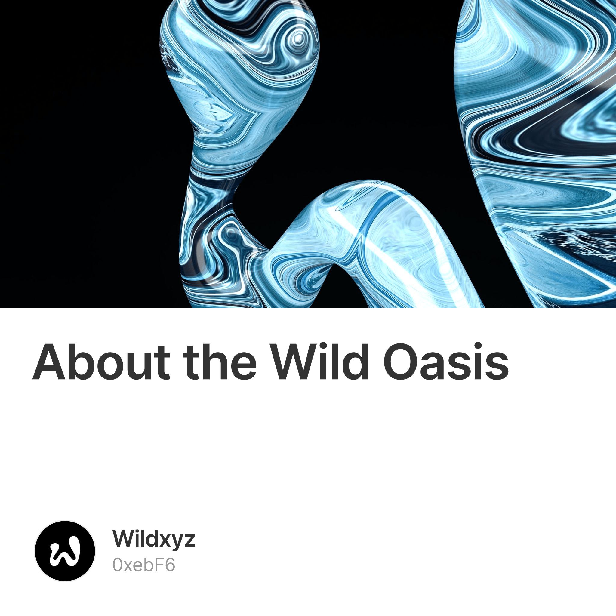 Photographer Recounts Wild Oasis Days: Journalist'S Experience Inside! - nccm1vs