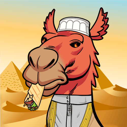 Dubai Camel #858