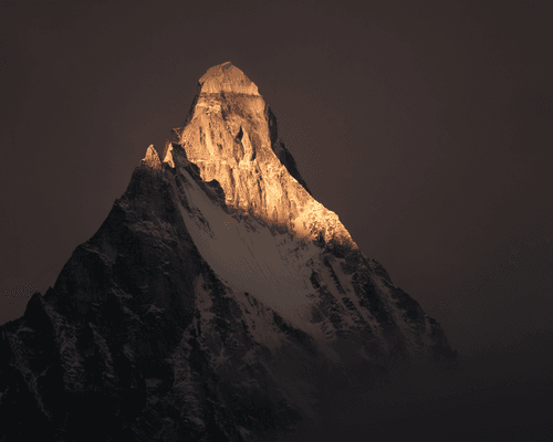 Himalayan Gold