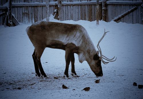 All (allmee) Farcaster social identity (Fname handle) PFP