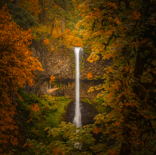 Autumn Falls