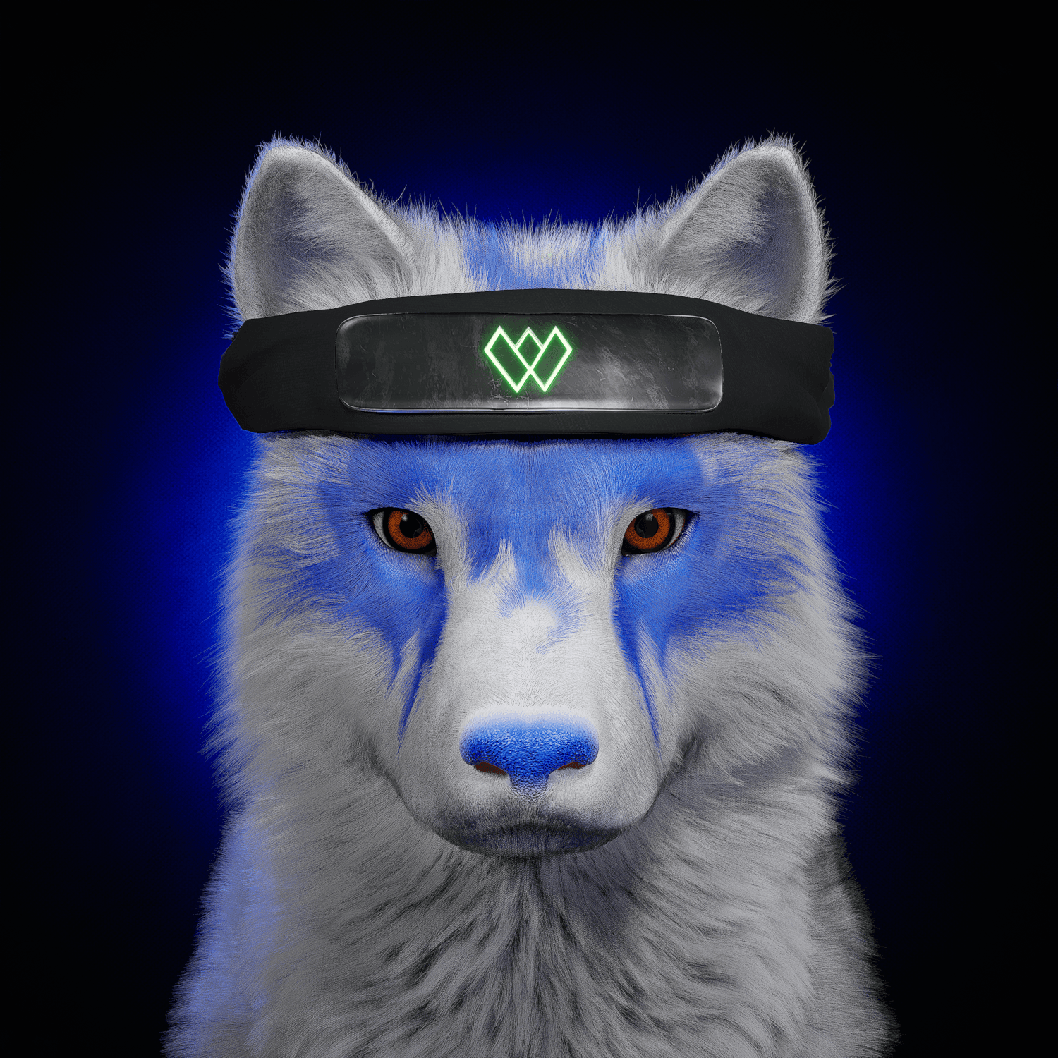 Wolf #2535