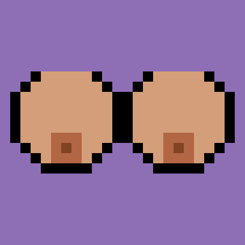 8-bit Tits #163