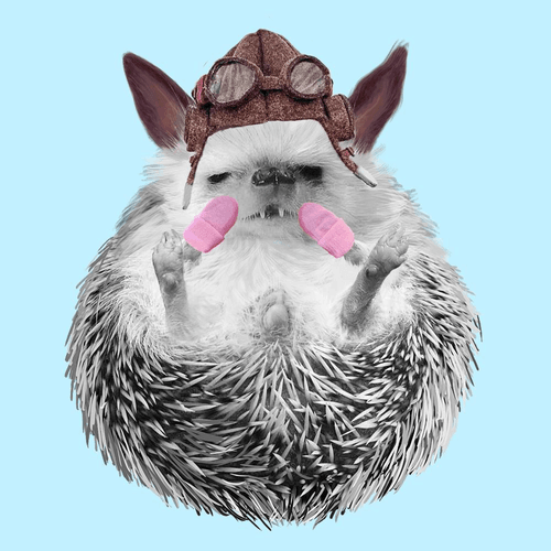 Hedgehog #194