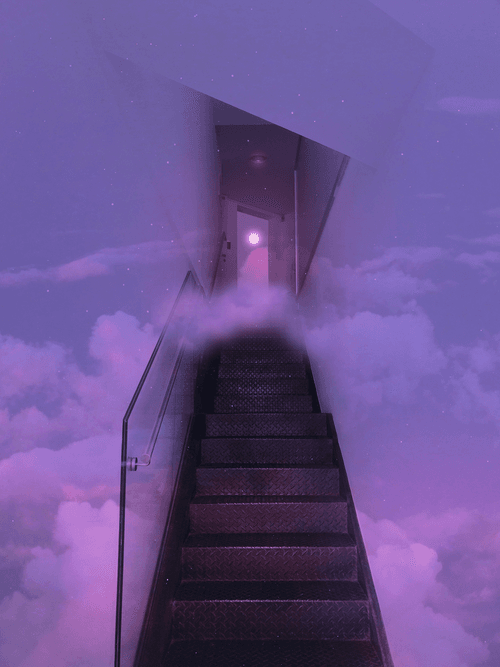 Pink & Purple World #68