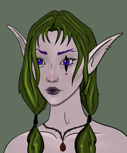 Midnight Elf 43