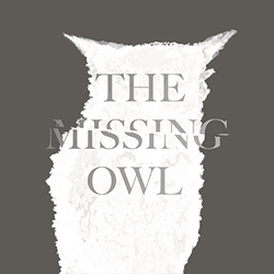 the Missing Owl collection image