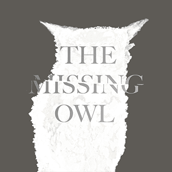 the Missing Owl