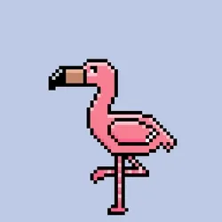 Crypto Flamingos collection image