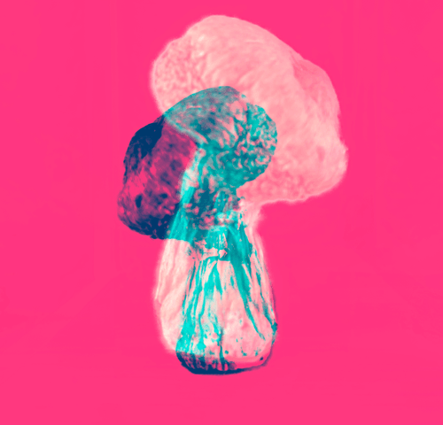 cybercybin