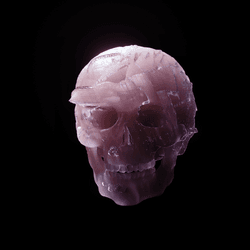 V-Skulls collection image