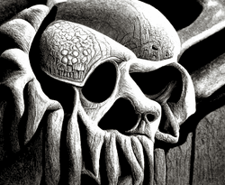 Skull Art Collection collection image