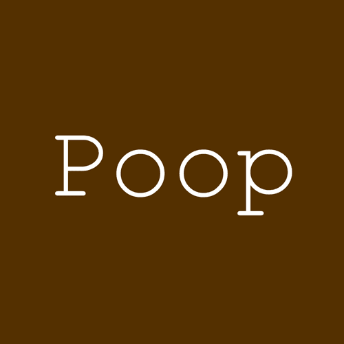 Poop (Of Adventurers)