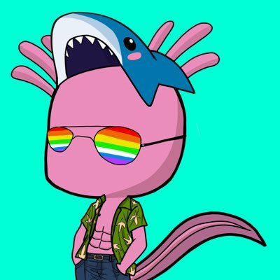 Cool Axolotl