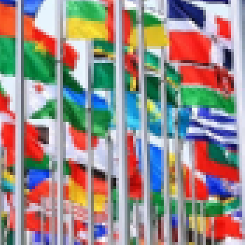 Small Flags collection image