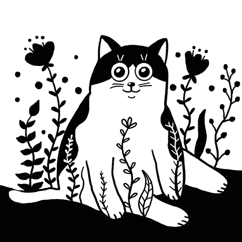 Cat 55: Black and White Cat Sitting in a Garden - Cute NFT Cats | OpenSea
