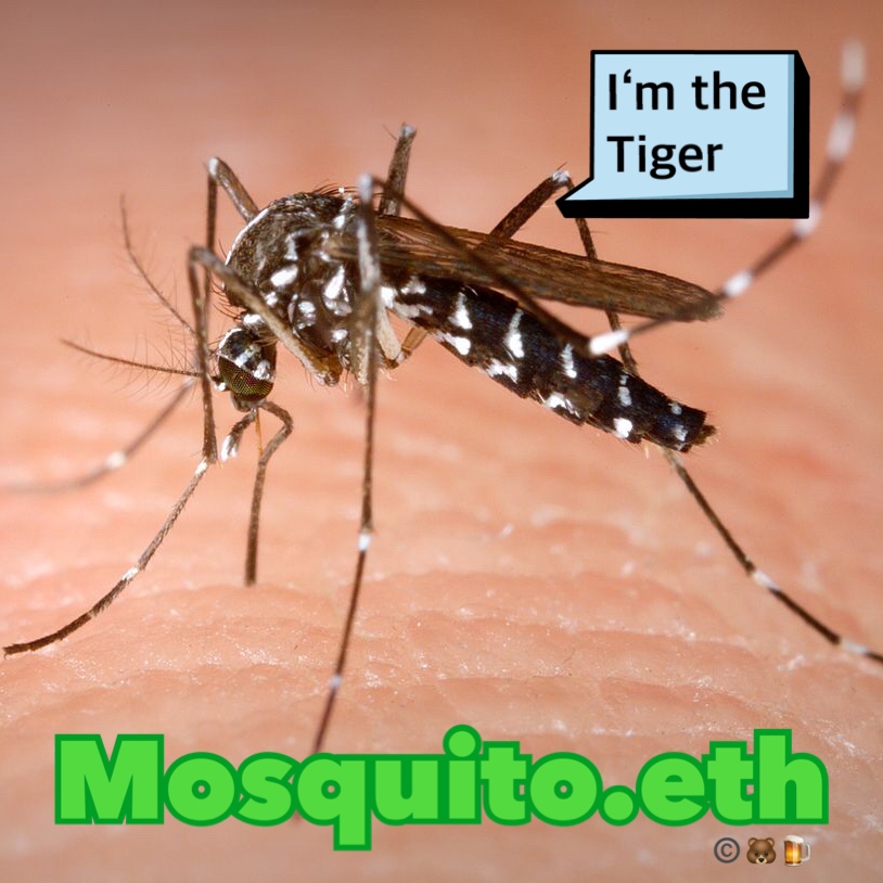 Tiger. mosquito.eth