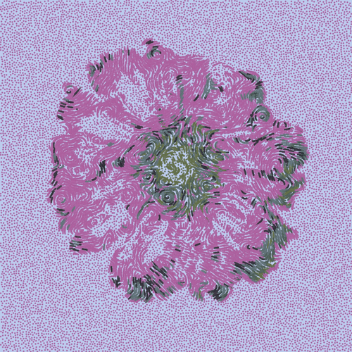 Gerbera Daisy Violet
